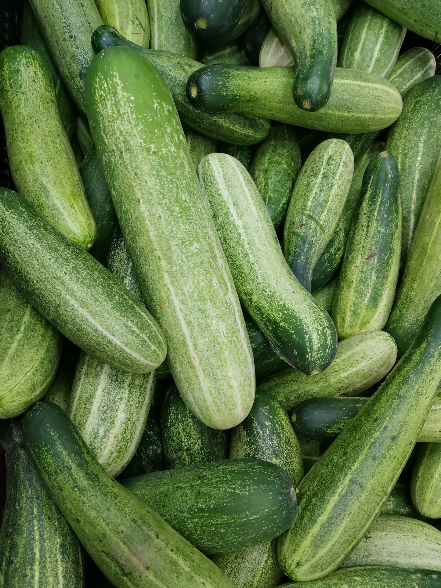 Natural Hydrating Cucumber Eye Serum